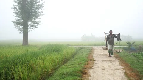 View of a man carrying baskets on a yoke in a foggy field, Bangladesh. Video stock 335550277