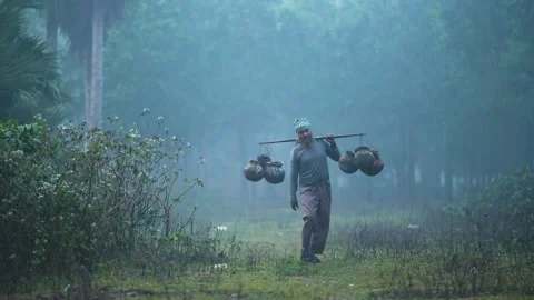 View of a man carrying clay pots through a misty forest, Bangladesh. Vídeo Stock 335652432