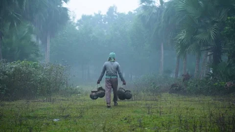 View of a man carrying clay pots in a misty palm grove, Bangladesh. Vídeos de archivo 335652918