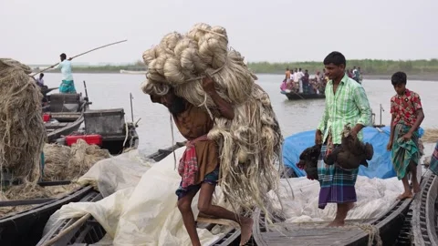 View of a man carrying a heavy load of jute fibers, Bangladesh. Video stock 335560183