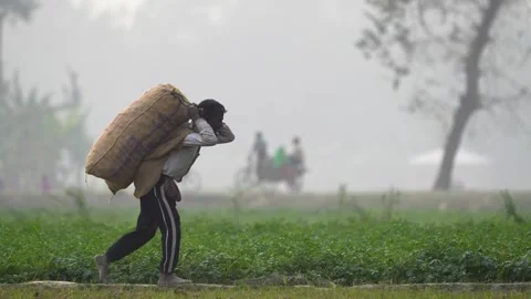 View of a man carrying a heavy sack in a misty field, Bangladesh. Stock Footage 334972612
