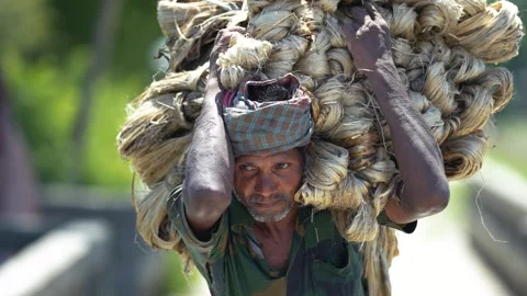 View of a man carrying a large bundle of jute fibers, Bangladesh. Stock Footage 335558962