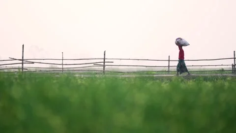 View of a man carrying a sack on his head in Bogura, Bangladesh. Video stock 334973573