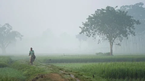 View of a man cycling through misty fields in Bogura, Bangladesh Video stock 335546696