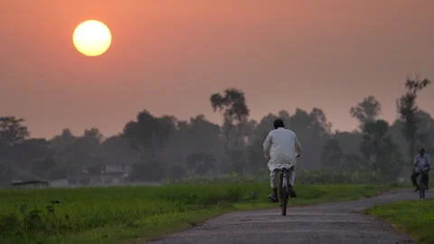 View of a man cycling through rural fields at sunset, Bangladesh. Video stock 335553207