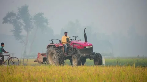 View of a man driving a red tractor in a field, Bangladesh. Stock Footage 334981645