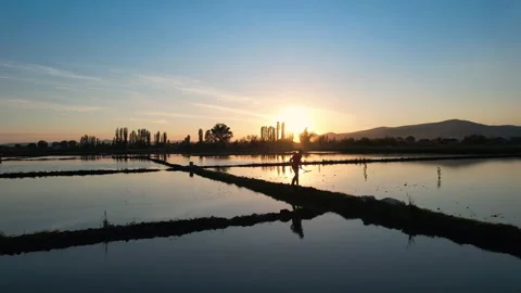 View of man farmer working in a rice agriculture flooded field to stop the wa Video stock 317244571