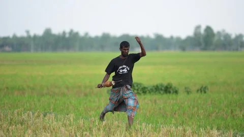 View of a man flying a kite in a green field, Bangladesh. Video stock 335013530