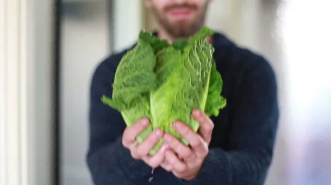 View of man hands holding bunch of kale Stock Footage 59541782
