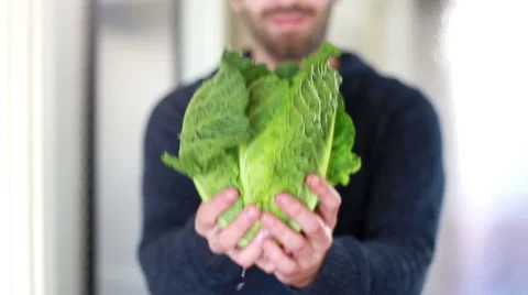 View of man hands holding bunch of kale Video stock 59541787