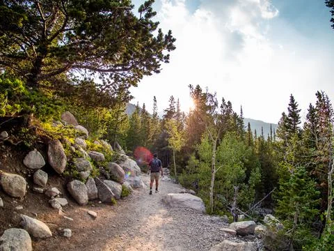 View of man hiking from the back with forest scenery along the trail. Foto stock