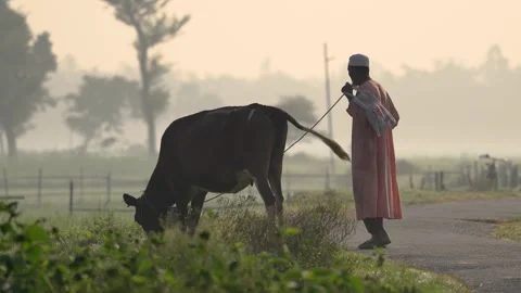 View of a man leading a cow along a rural road in Bogura, Bangladesh. Vídeos de archivo 335587931