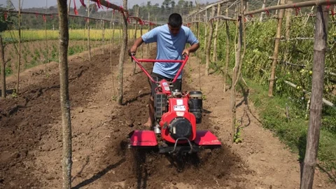 View of a man operating a red power tiller in a farm field, Nepal. Video stock 335466272
