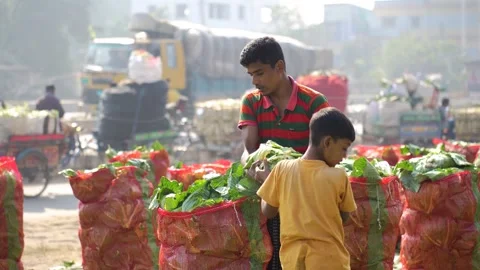 View of a man packing vegetables at a market in Bogura, Bangladesh. Video stock 335017641