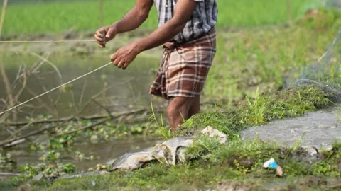 View of a man pulling a fishing net by a pond in Bogura, Bangladesh. Stock-Footage 334984647
