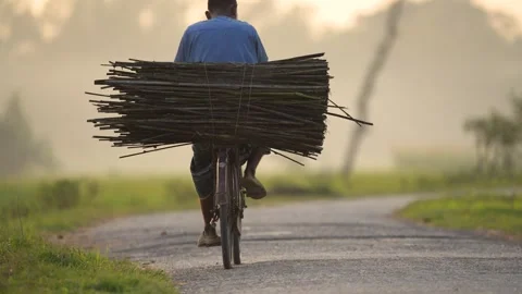 View of a man riding a bicycle with a bundle of sticks, Bangladesh. Stock Footage 334968114