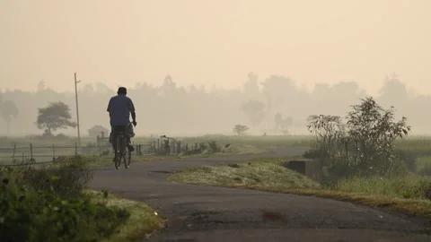 View of a man riding a bicycle on a misty rural road, Bangladesh. Vídeo Stock 335588056