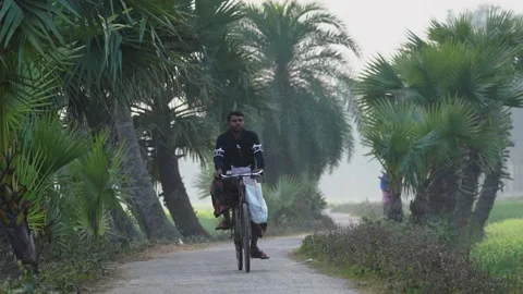 View of a man riding a bicycle on a road with palm trees, Bangladesh. Vídeo Stock 334987018