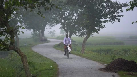 View of a man riding a bicycle on a rural road in the fog, Bangladesh. Video stock 334986708