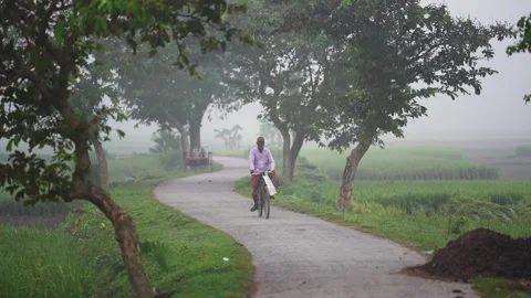 View of a man riding a bicycle on a rural road, Bangladesh. Video stock 335548843