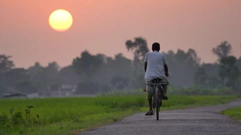 View of a man riding a bicycle on a rural road at sunset, Bangladesh. 스톡 동영상 335553192