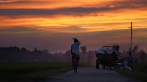 View of a man riding a bicycle at sunset in Bogura, Bangladesh. 스톡 동영상 335554259