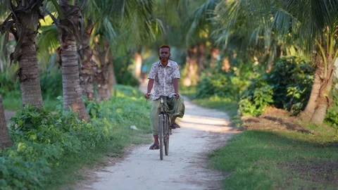 View of a man riding a bicycle through palm trees, Bangladesh. Stock Footage 334952962