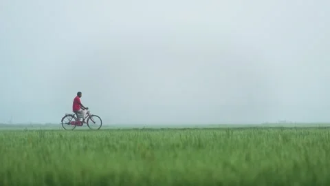 View of a man riding a bicycle through a foggy field, Bangladesh. 動画素材 334959858