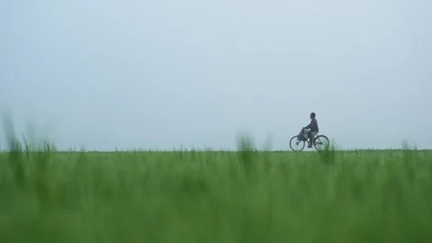 View of a man riding a bicycle through rural fields, Bangladesh. Video stock 334960050