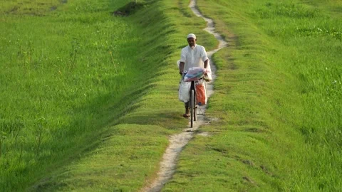View of a man riding a bicycle through green fields in Bangladesh. Video stock 334964776