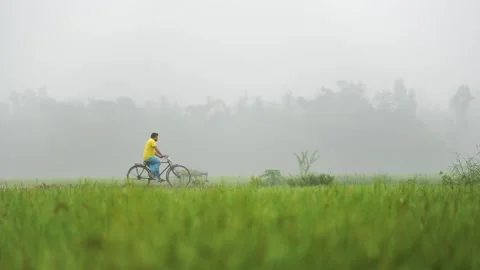 View of a man riding a bicycle through foggy fields in Bangladesh. Video stock 334986680