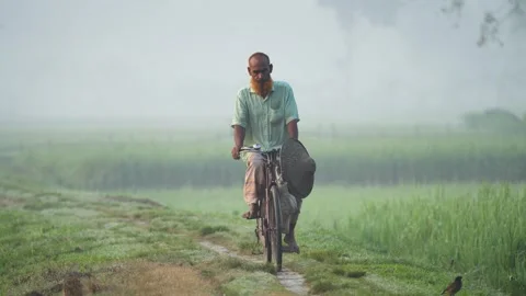 View of a man riding a bicycle through misty green fields, Bangladesh. Video stock 335546538