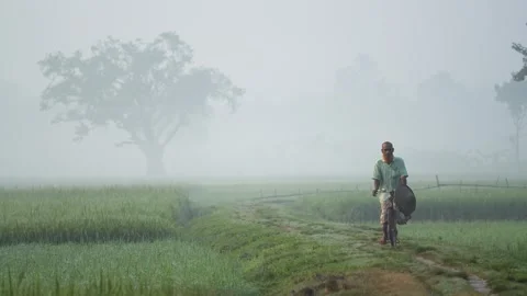 View of a man riding a bicycle through foggy fields, Bangladesh. Video stock 335546645