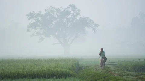 View of a man riding a bicycle through foggy fields, Bangladesh. Video stock 335546788