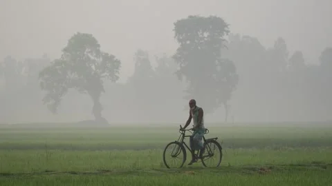 View of a man riding a bicycle through foggy fields, Bangladesh. Video stock 335549096