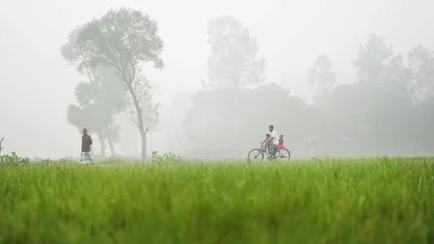 View of a man riding a bicycle through a foggy field, Bangladesh. Video stock 335549385