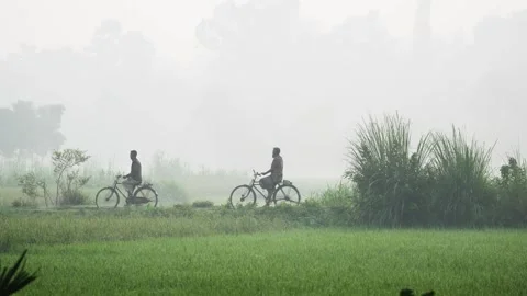 View of a man riding a bicycle through a misty rural field, Bangladesh. Video stock 335549639
