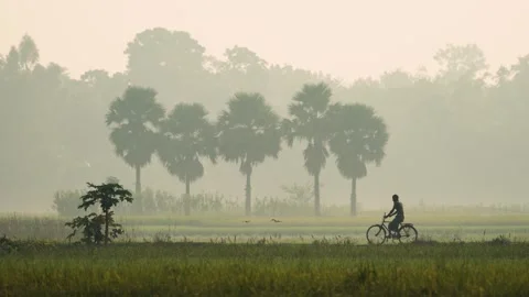 View of a man riding a bicycle through misty fields, Bangladesh. Stock-Footage 335549856