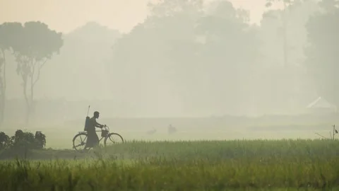 View of a man riding a bicycle through a misty field, Bangladesh. Video stock 335549983