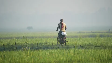 View of a man riding a bicycle through misty fields, Bangladesh. Video stock 335551440