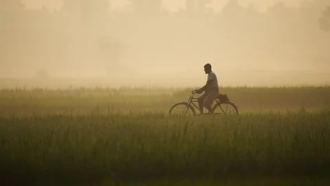View of a man riding a bicycle through misty fields in Bangladesh. 스톡 동영상 335591540