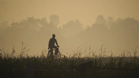 View of a man riding a bicycle through a misty field, Bangladesh. Video stock 335598056
