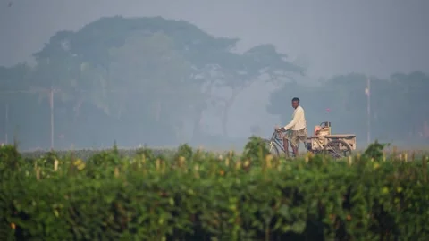 View of a man riding a bicycle through rural fields in Bangladesh. Stock Footage 335598096