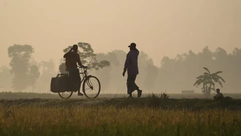 View of a man riding a bicycle through misty fields, Bangladesh. Stock Footage 335598120
