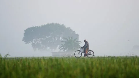 View of a man riding a bicycle through a misty rural field, Bangladesh. Stock Footage 335598474
