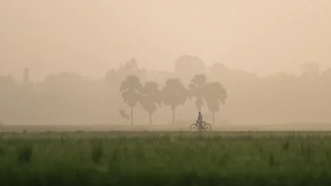 View of a man riding a bicycle through a misty field, Bangladesh Vídeos de archivo 335618037