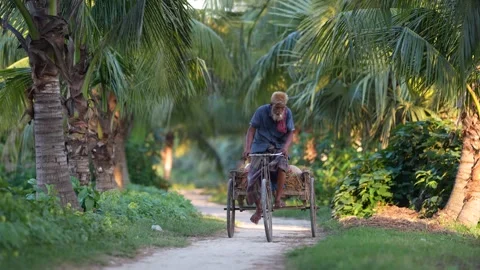 View of a man riding a cycle van through a lush palm grove, Bangladesh. Vídeo Stock 334953173