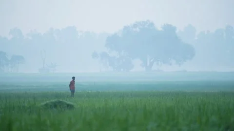 View of a man standing in a misty field in Bogura, Bangladesh. 動画素材 335599837