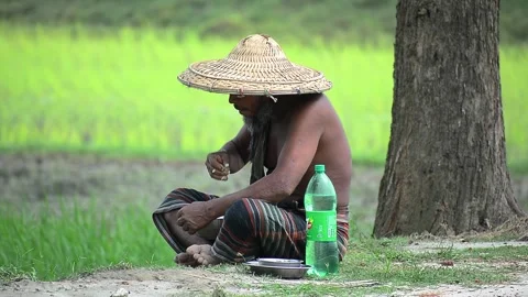 View of a man in a straw hat resting by a field in Natore, Bangladesh. Video stock 335557204