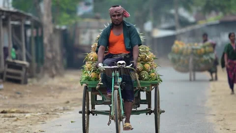 View of a man transporting pineapples on a bicycle cart, Bangladesh. Stock Footage 336428710